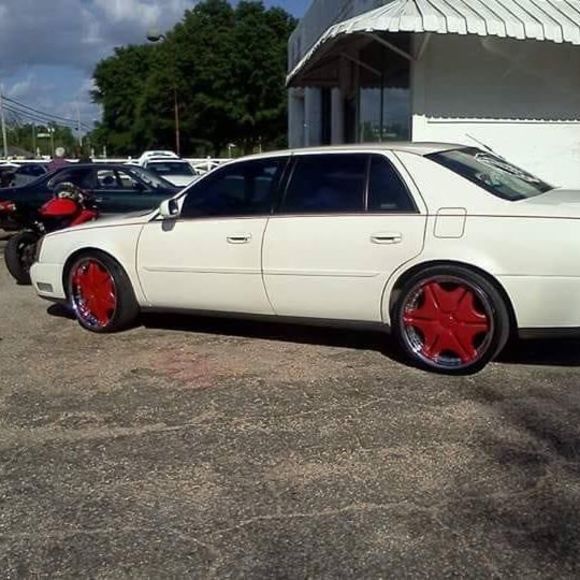 Meet your Posher, Robert - Picture 1 of 1